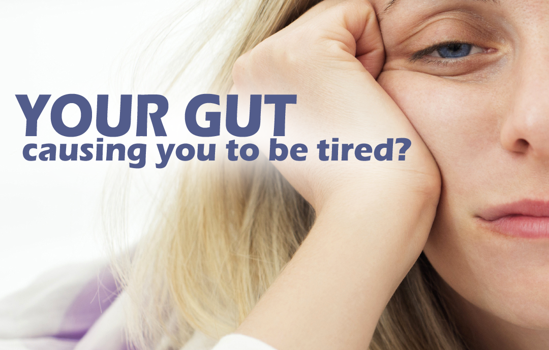 What does your Gut Health have to do with Chronic Fatigue Syndrome